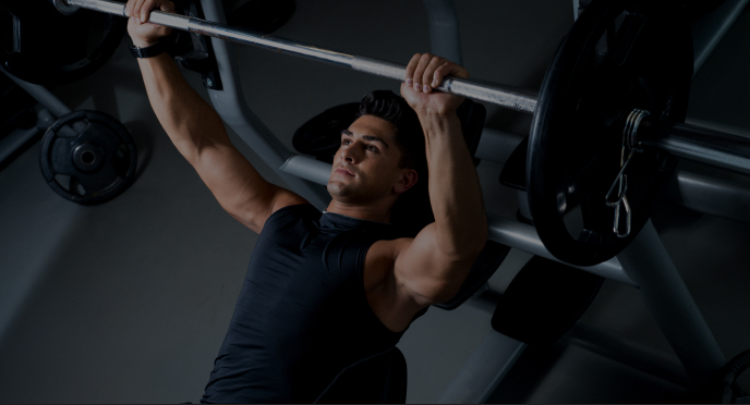 Gryfy Image Category